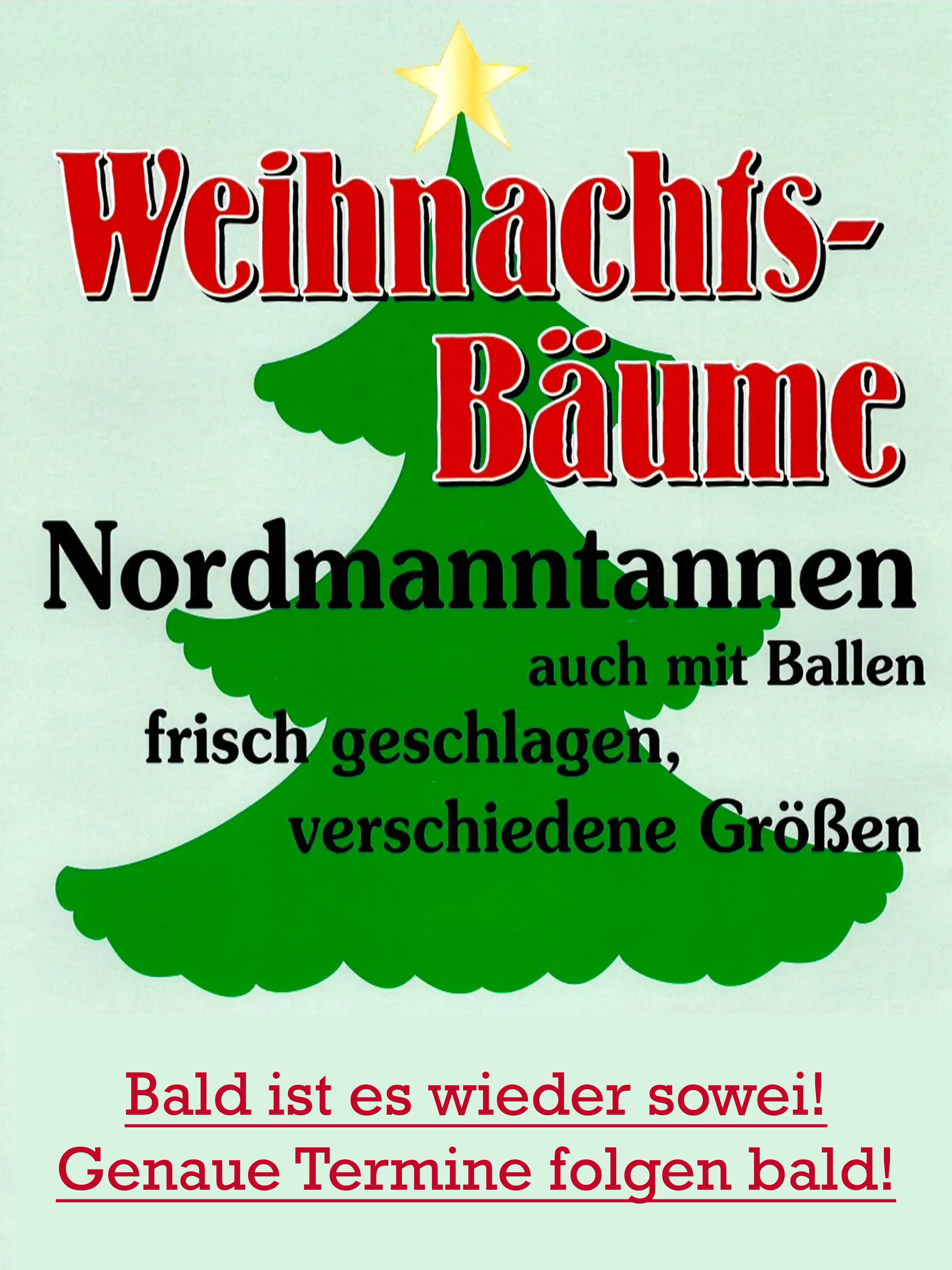 Weihnachtsbaumverkauf – 27.11.2026